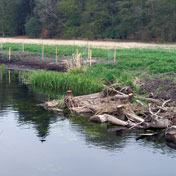 Landschaftsplanung & Ökologie